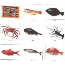 Hüllők és tengeri élőlények figurák